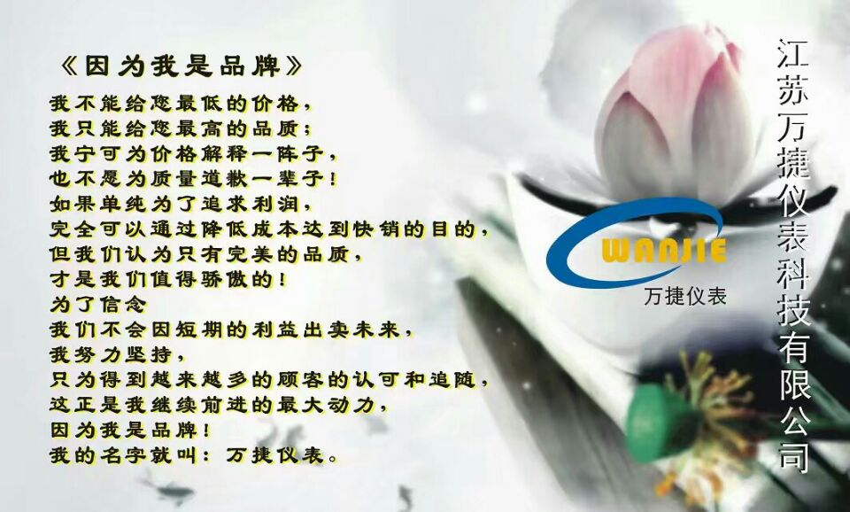 万捷仪表电磁流量计厂家是你理想的选择