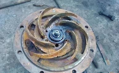 什么是泵的气蚀？